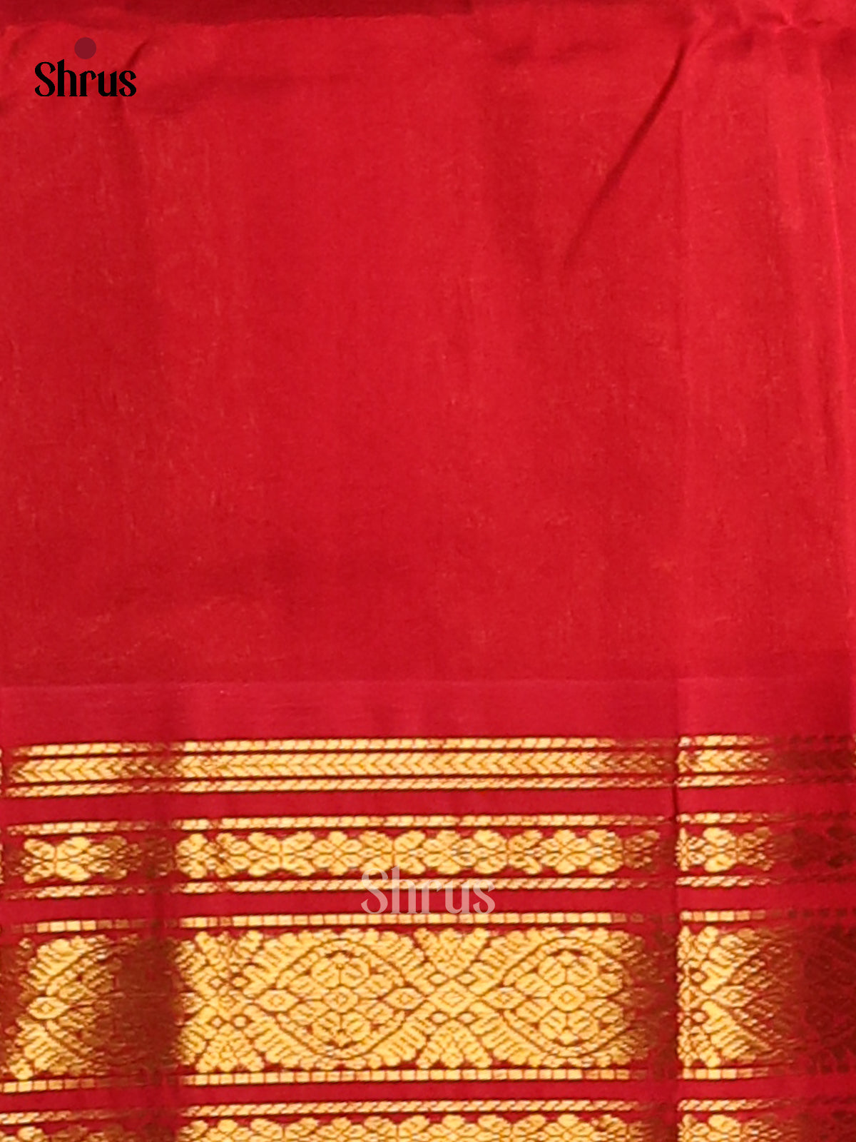 Graceful Blue Silk Cotton Saree with gold zari rudraksham buttas , Red zari woven pallu - Shop on Shrus.com