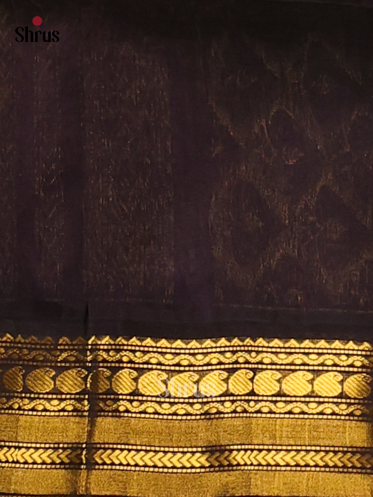 Charming Cream Silk Cotton Saree with gold zari paisleys buttas & black zari border - Shop on Shrus.com