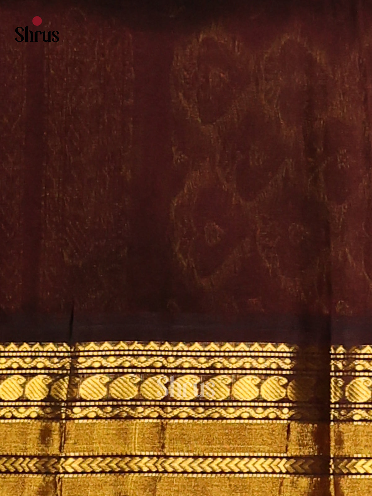 Shimmery Green Silk Cotton Saree with zari buttas , brown floral brocade pallu - Shop on Shrus.com