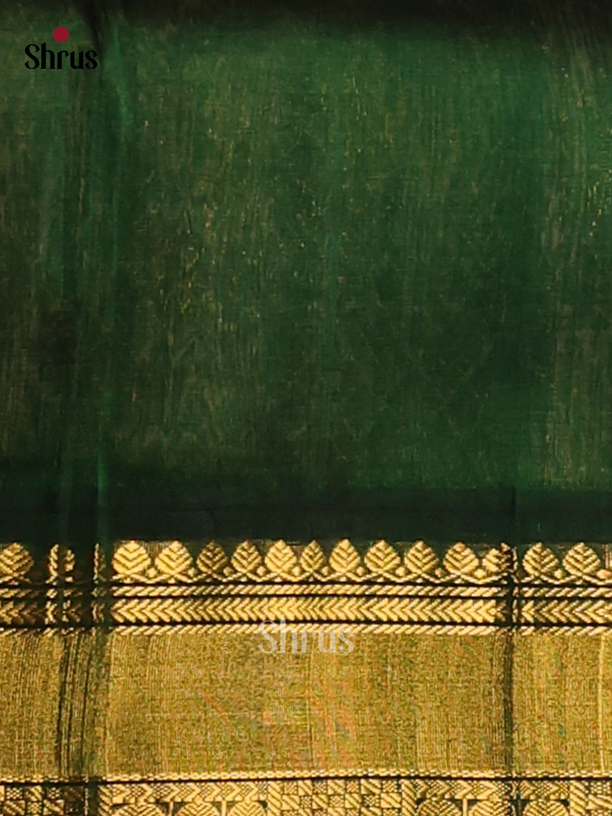 Beautiful Cream Silk Cotton Saree with contrast Green zari floral brocade pallu - Shop on Shrus.com