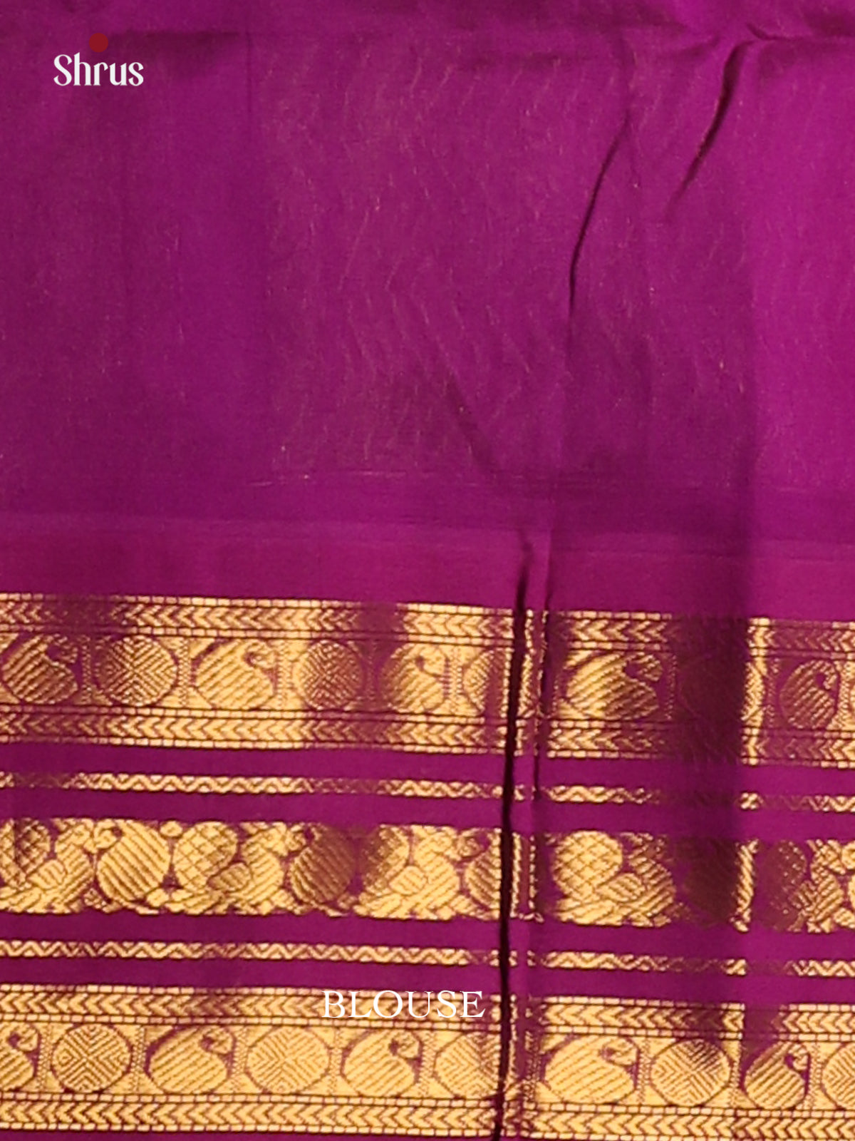 Shimmery Pista Green Silk Cotton Saree with contrast purple zari border - Shop on Shrus.com