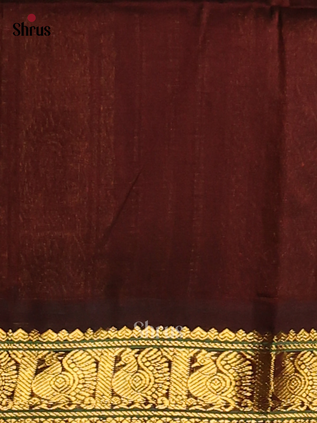 Serene Lite Green Silk Cotton Saree with Peacock zari butta brown Border - Shop on Shrus.com