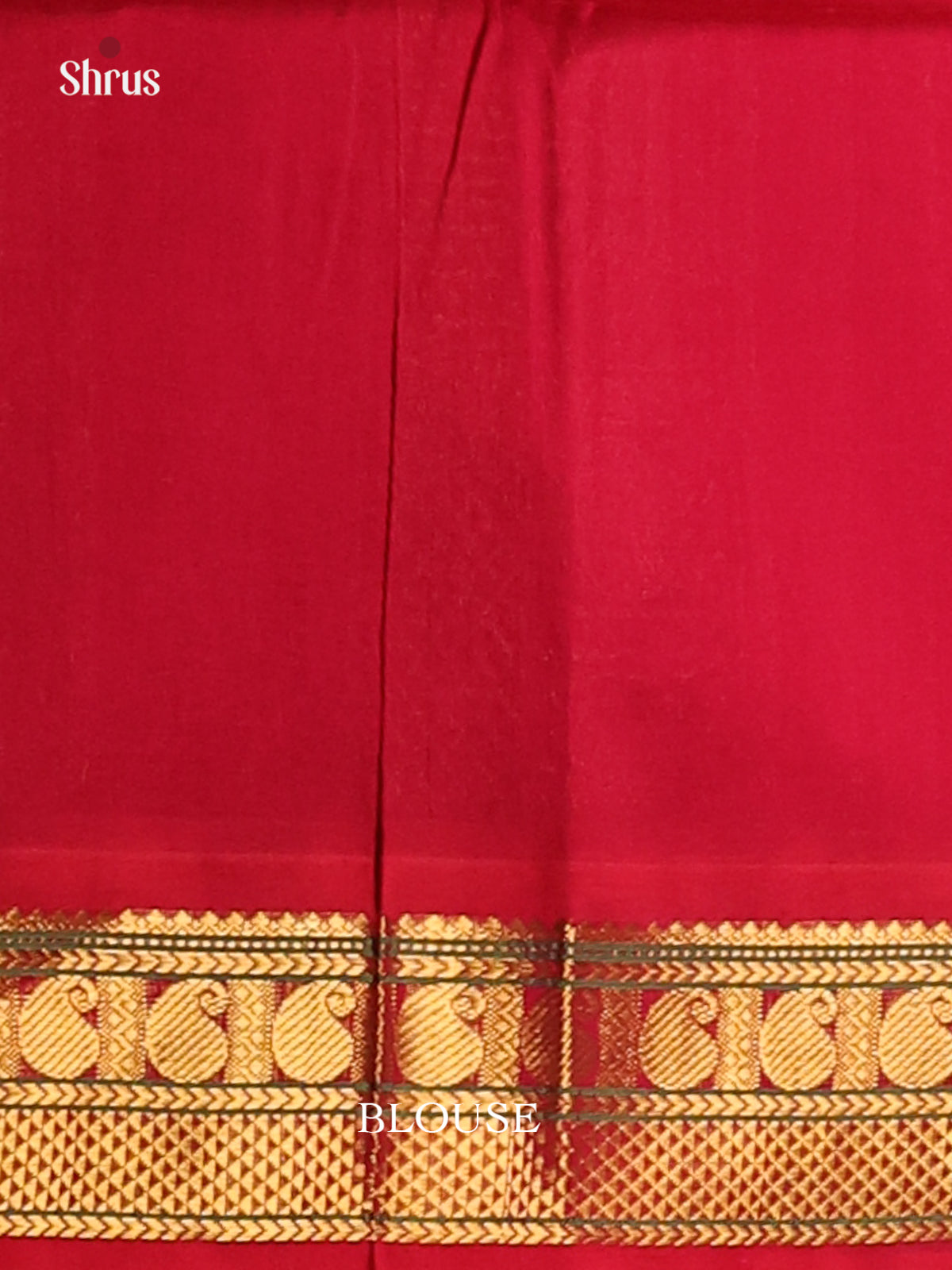 Chic Violet Silk Cotton Saree with simple body , Red Zari Border - Shop on Shrus.com