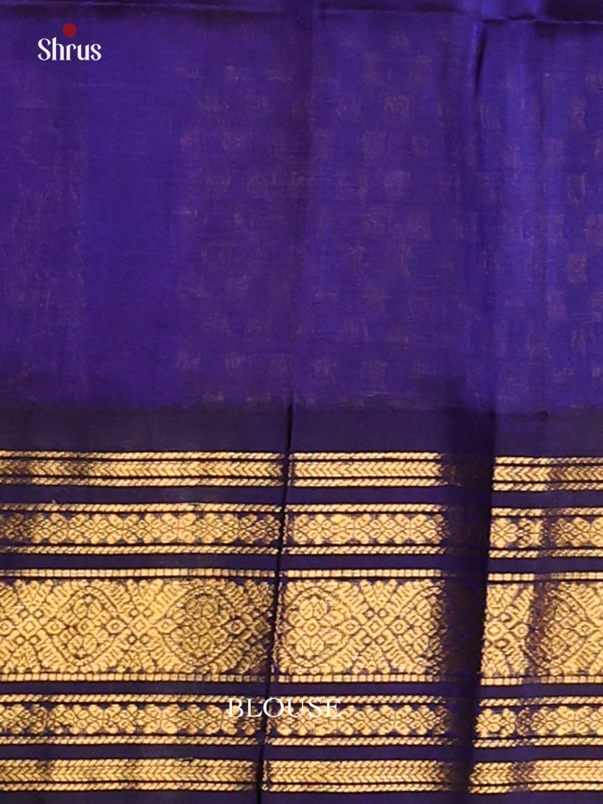 Classy Orange Silk Cotton Saree with Zari woven floral vines in blue border - Shop on Shrus.com