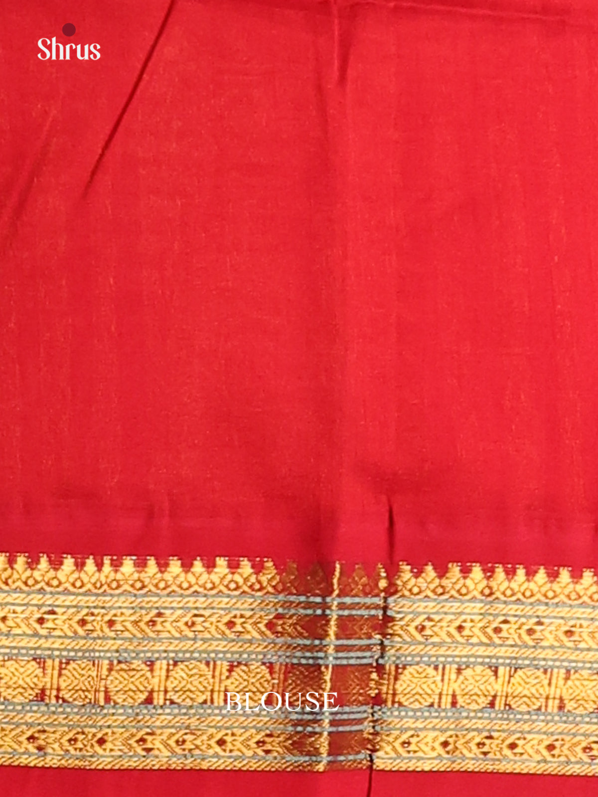 Timeless Beige Silk Cotton Saree with Red Zari Border & Contrast Blouse - Shop on Shrus.com