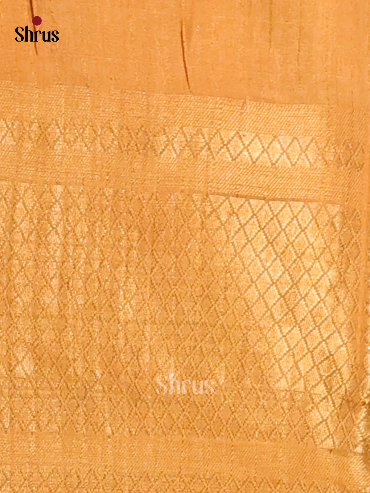 Brown & Brick - Shibori Saree - Shop on Shrus.com
