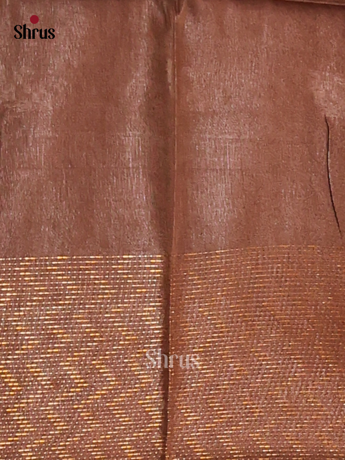 Beige & Brown - Semi Tussar Saree - Shop on Shrus.com