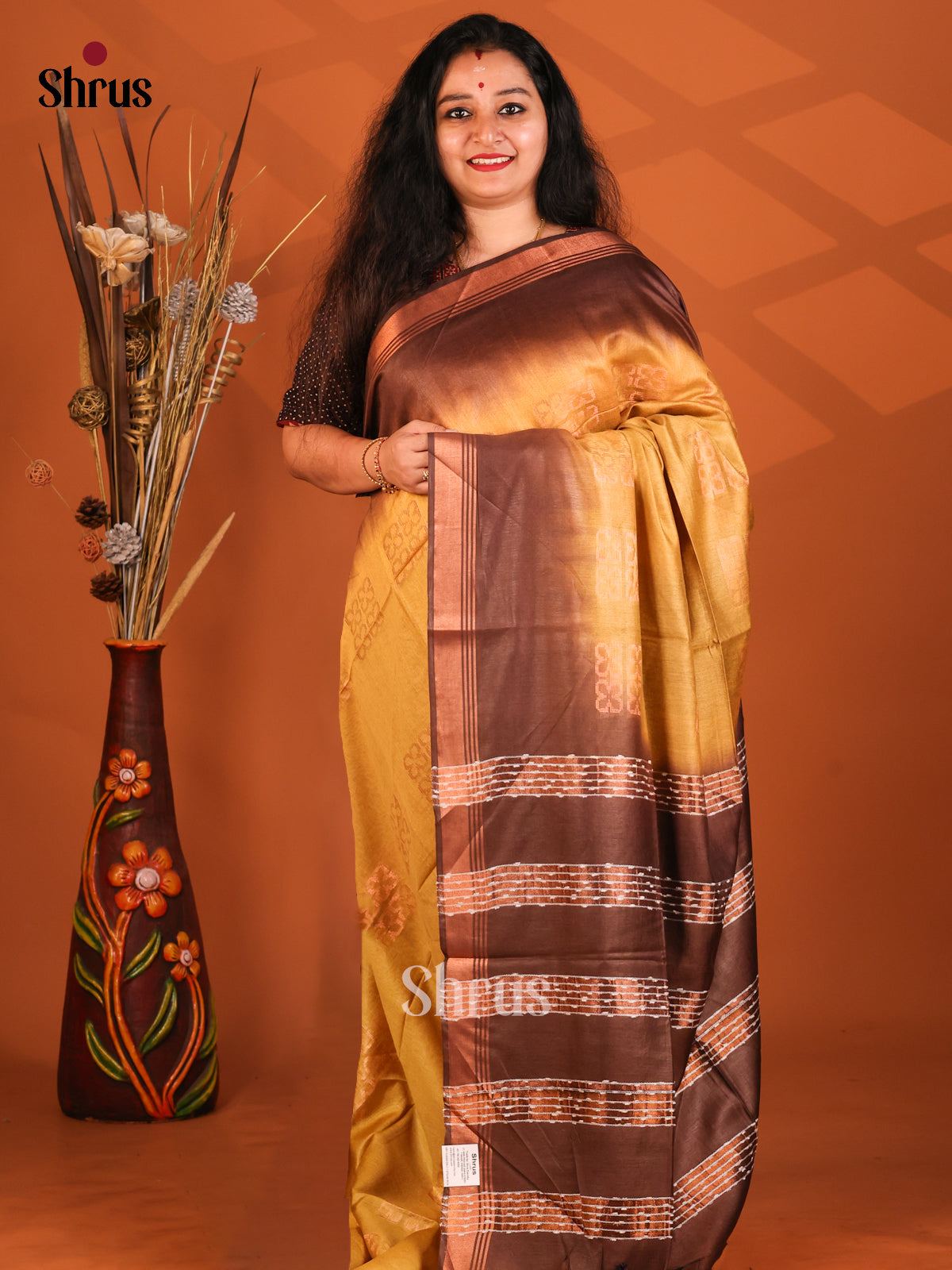 Beige & Brown- Semi Tussar Saree - Shop on Shrus.com