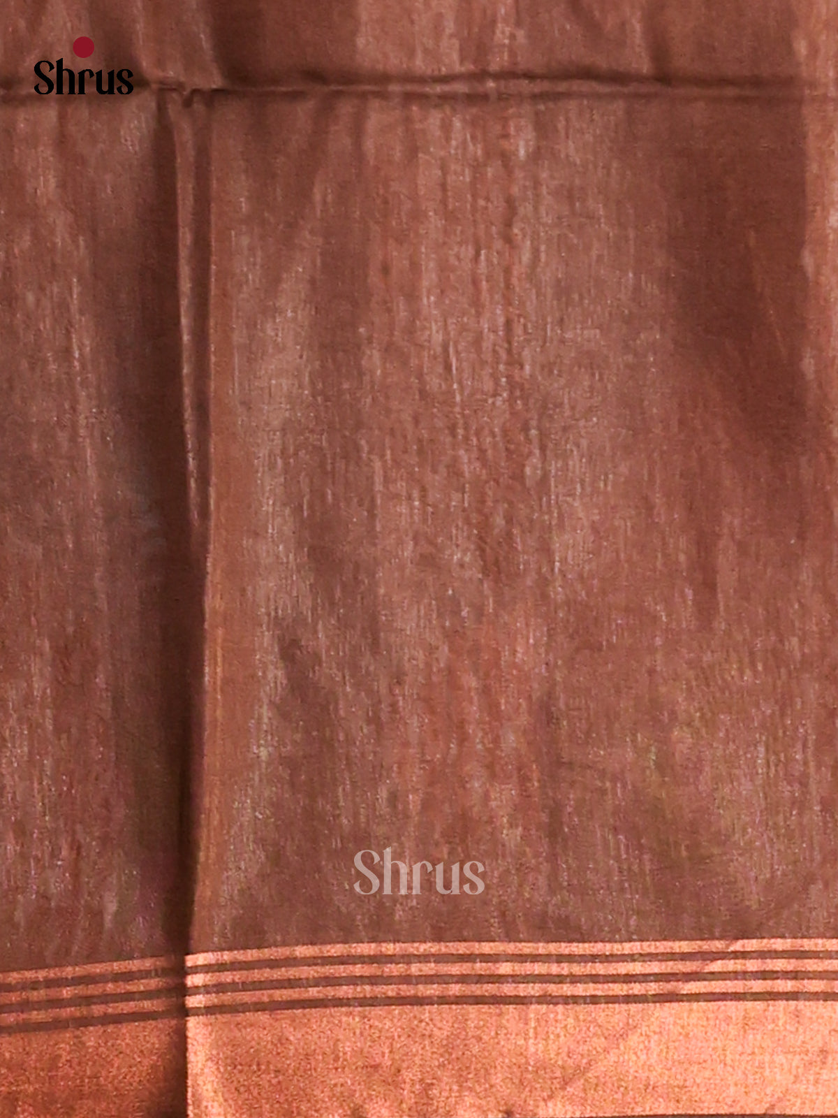 Beige & Brown- Semi Tussar Saree - Shop on Shrus.com