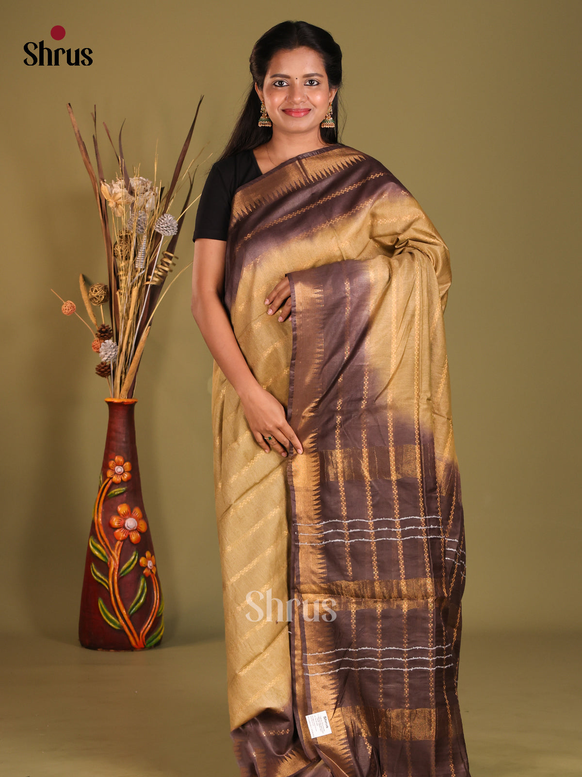 chikoo & brown- Semi Tussar saree - Shop on Shrus.com