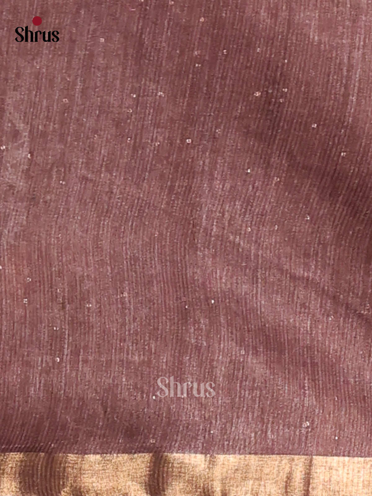 Beige & Brown - Semi Tussar Saree - Shop on Shrus.com