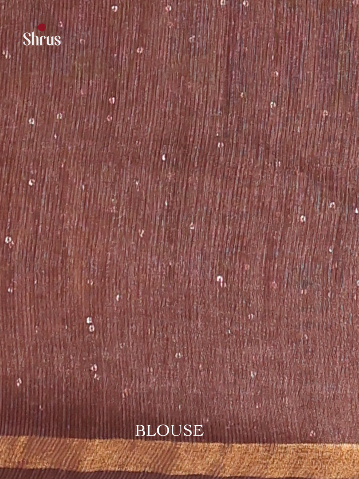 Chikoo & Brown - Semi Tussar Saree - Shop on Shrus.com