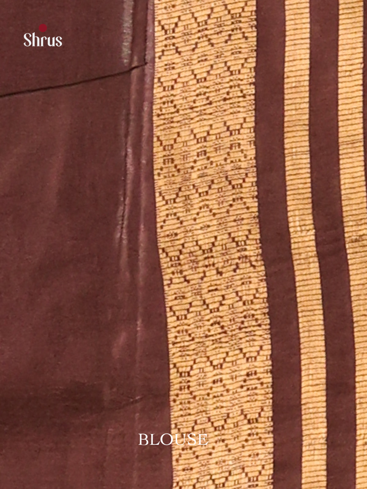 Chikoo & Brown- Semi Tussar saree - Shop on Shrus.com