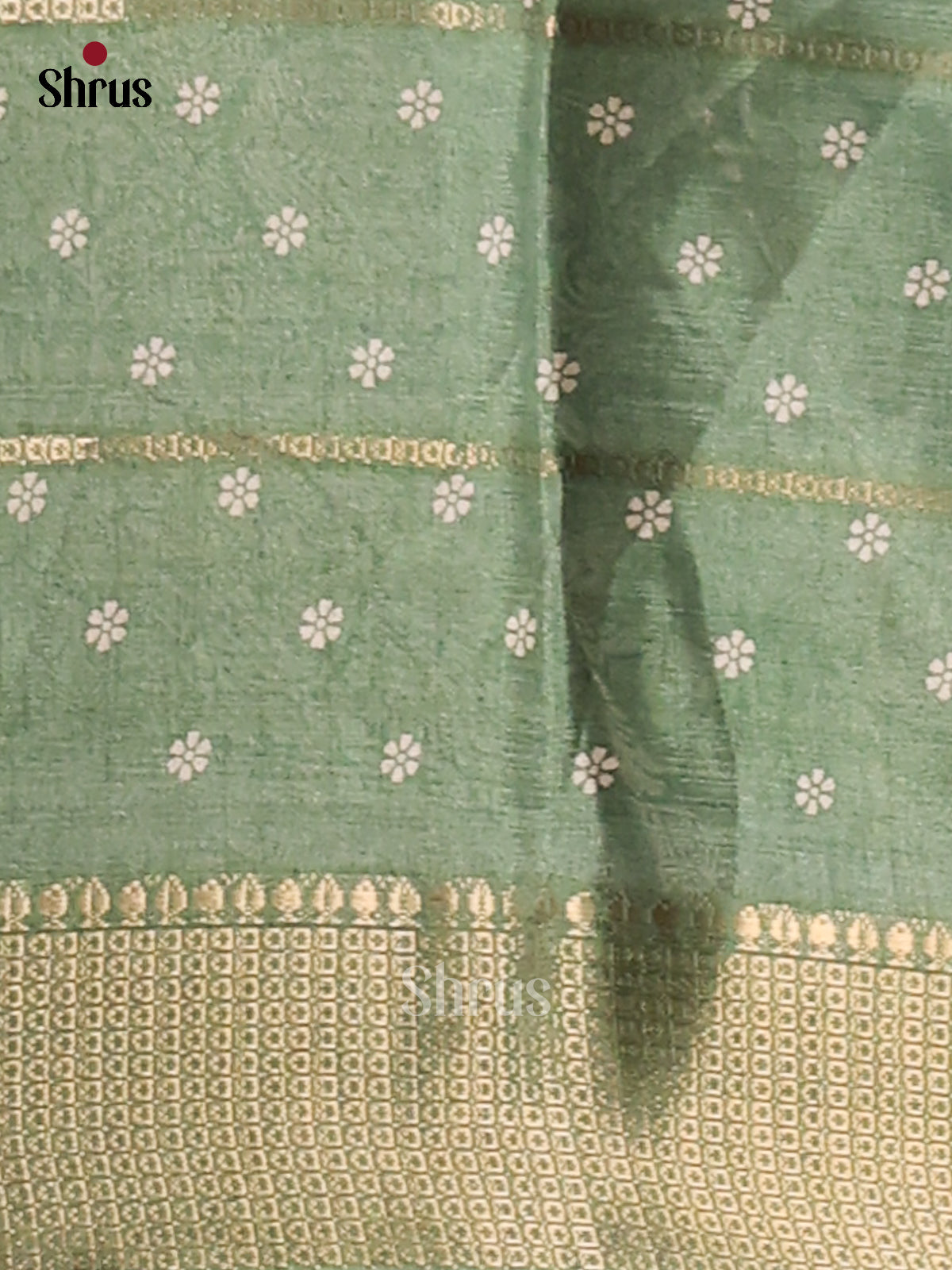 Pastel Green - Semi Crepe Saree - Shop on Shrus.com