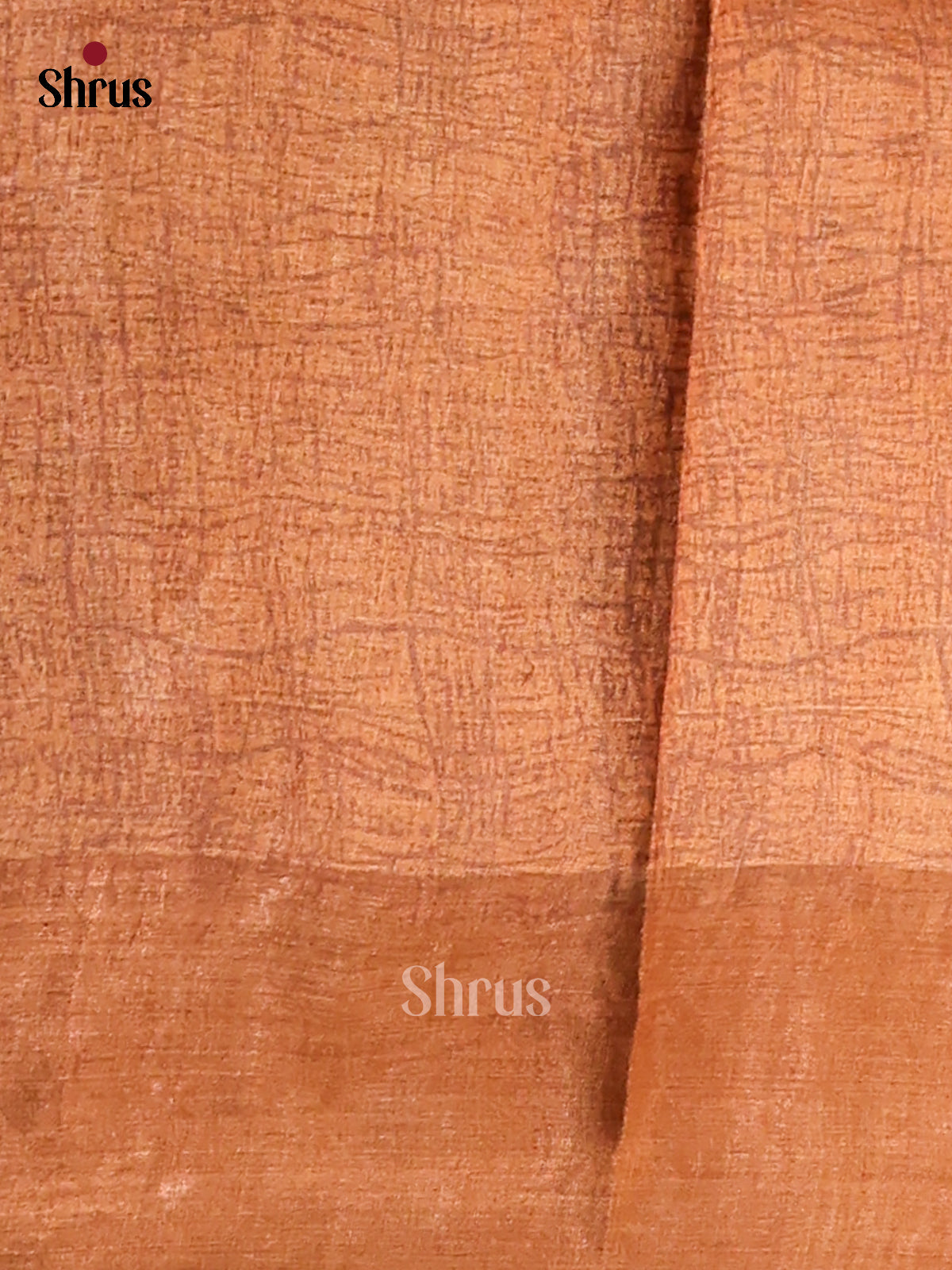 Cream & Brown - Tussar Saree - Shop on Shrus.com