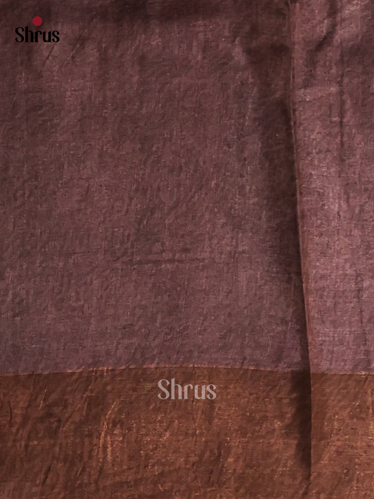 Brown - Tussar Saree-1