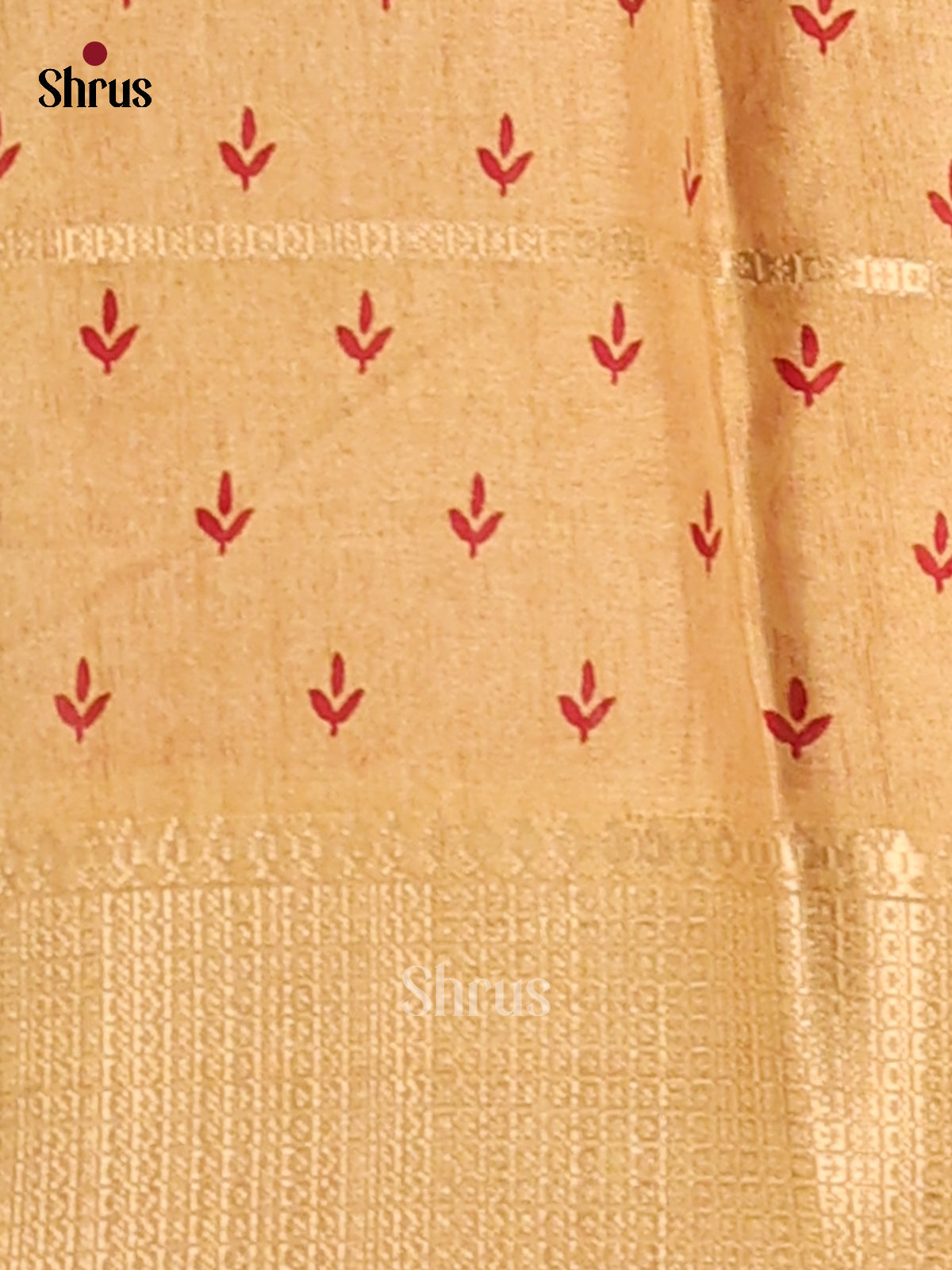 Beige - Semi Crepe Saree - Shop on Shrus.com