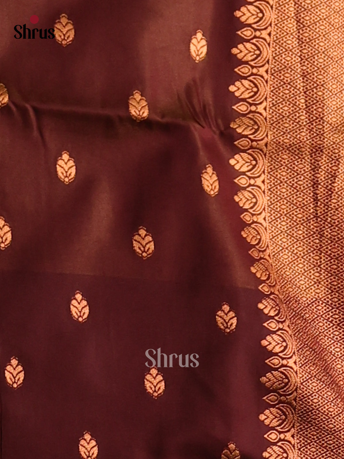Dark Mustard & Brown - Semi Softsilk Saree - Shop on Shrus.com