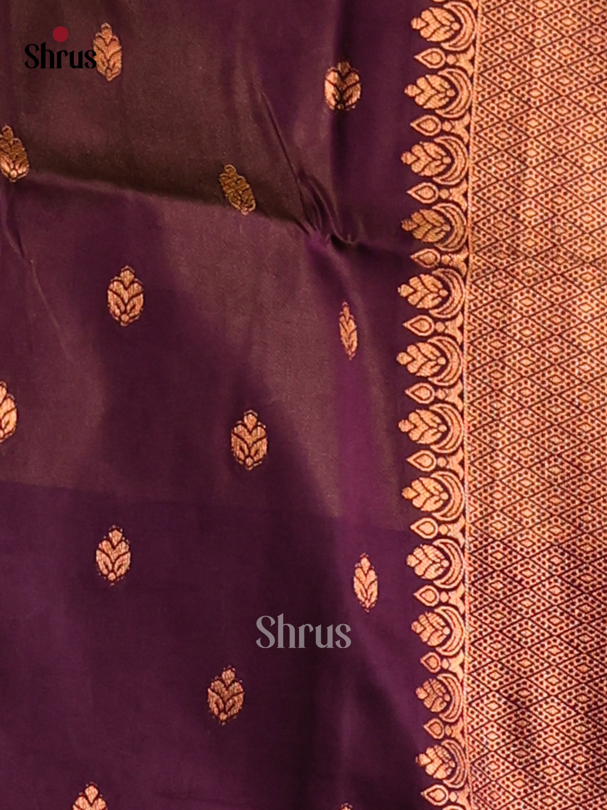 Double Shaded Brown & Purple - Semi Softsilk Saree - Shop on Shrus.com