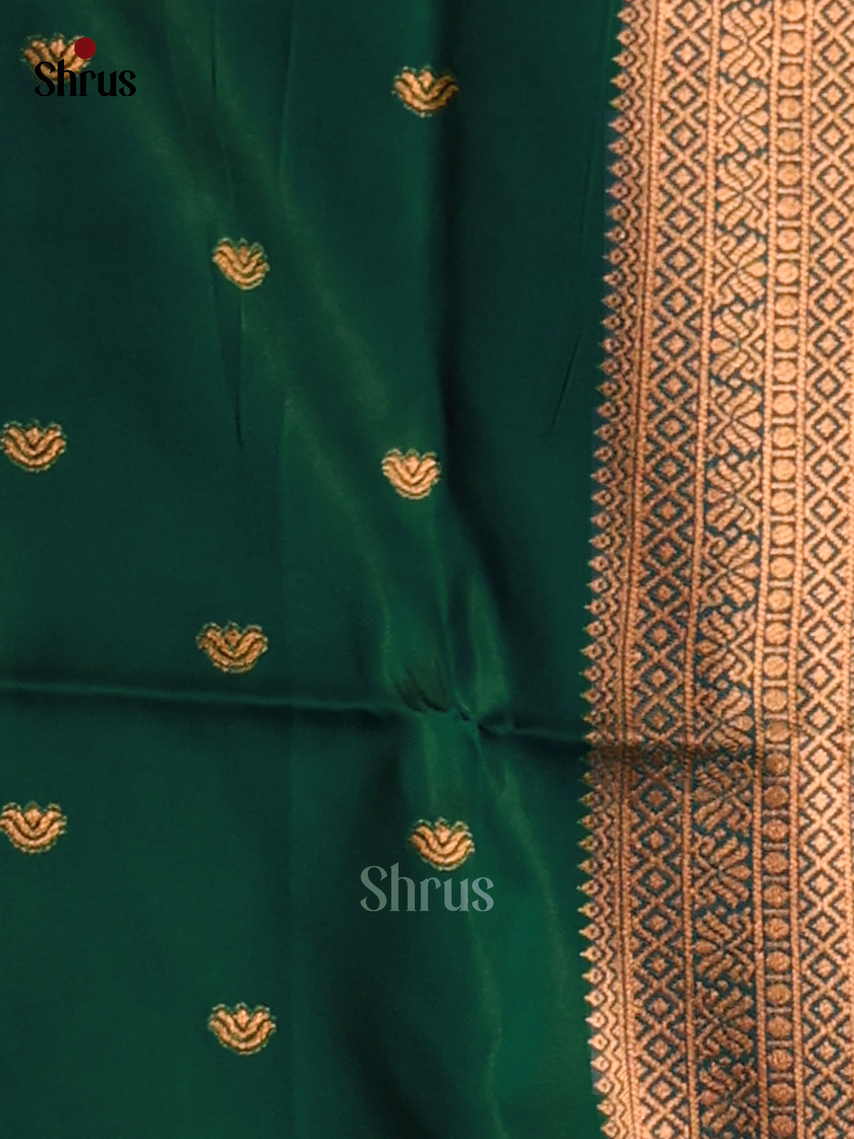 Apple Green & Green- Semi Softsilk Saree - Shop on Shrus.com