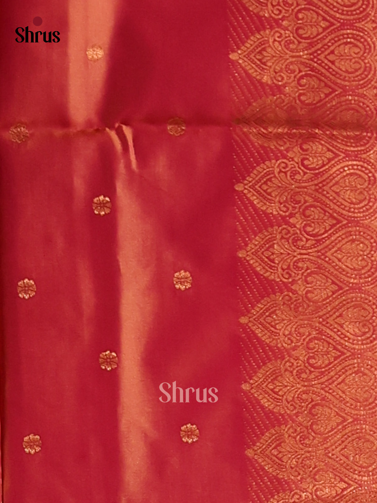 Violet & Orange- Semi Softsilk Saree - Shop on Shrus.com
