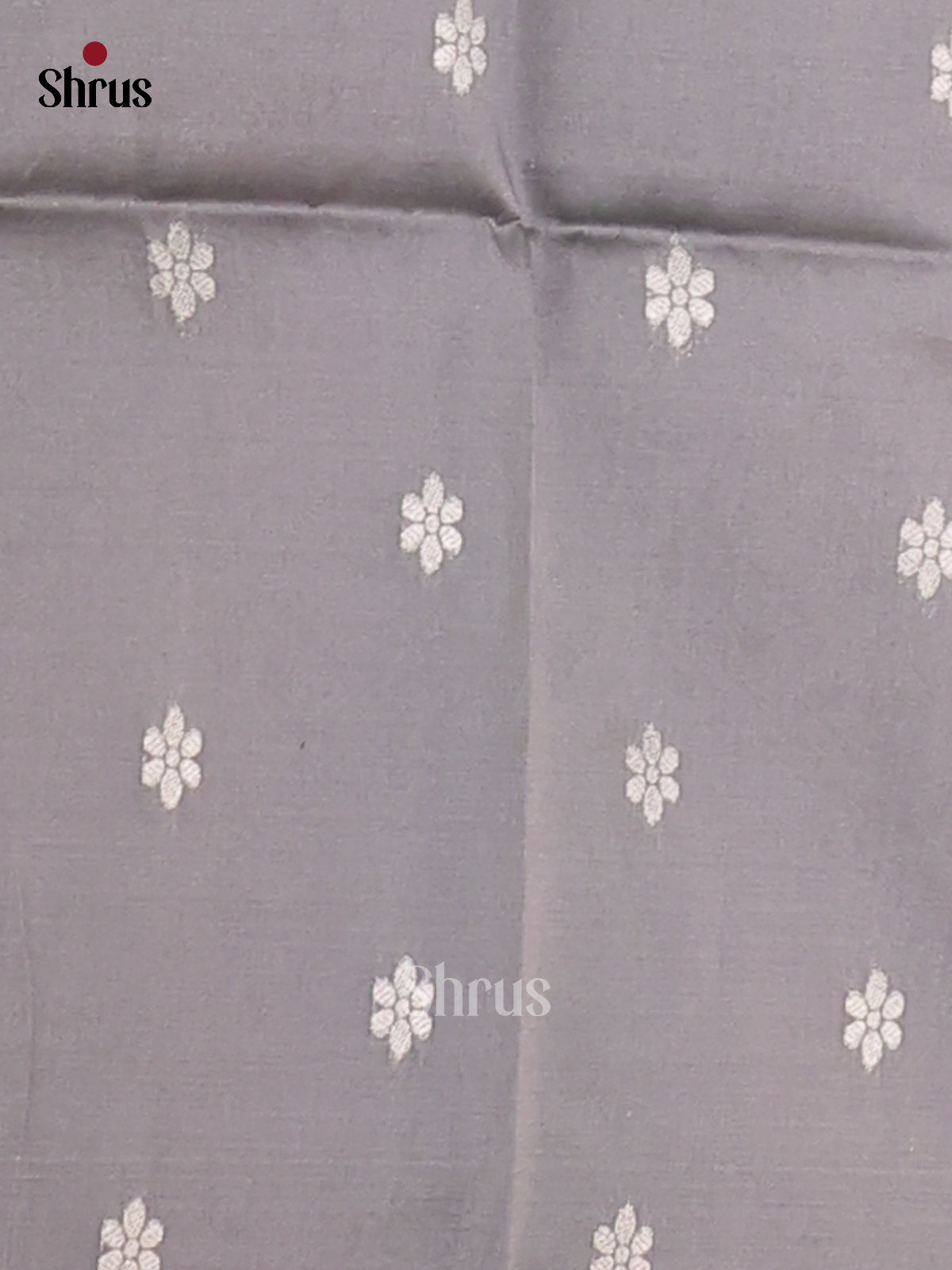 Beige & Grey - Semi Tussar Saree - Shop on Shrus.com
