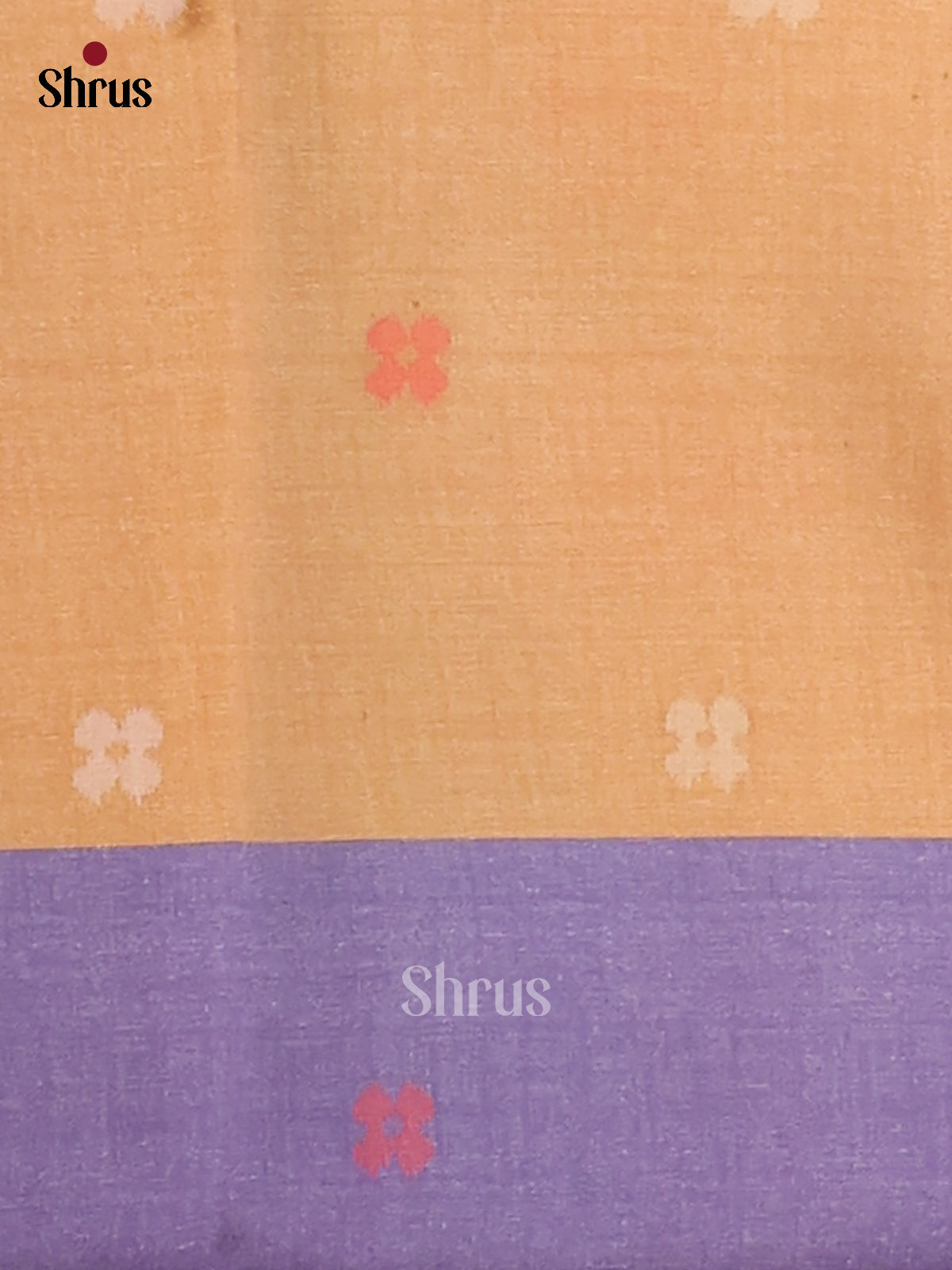 Beige & Purple - Semi Tussar Saree - Shop on Shrus.com