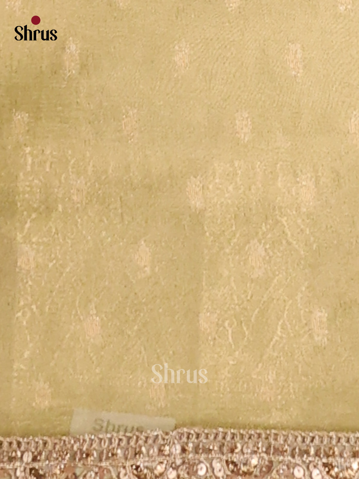 Light Green - Semi Tissue Saree - Shop on Shrus.com