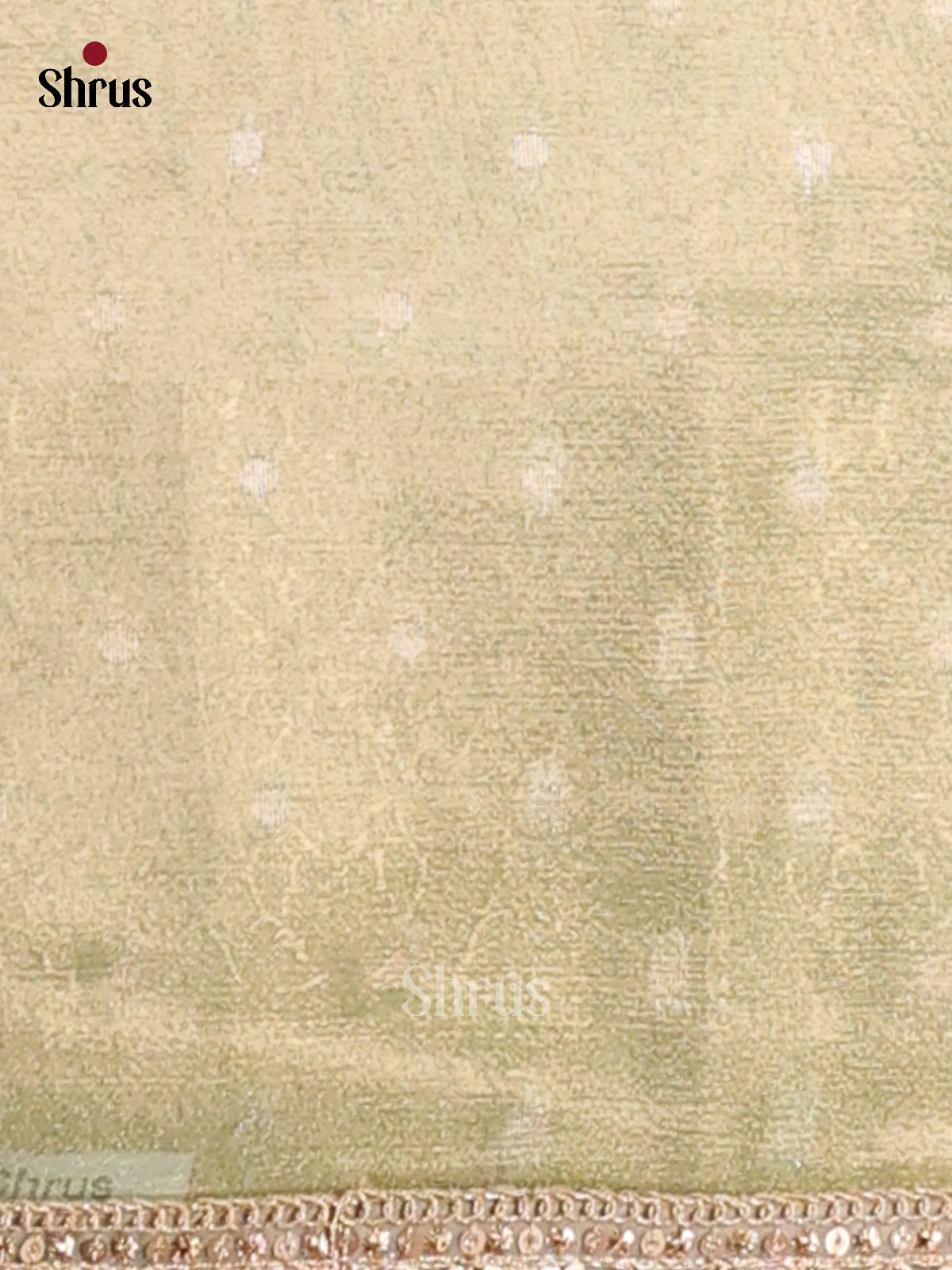 Light Green - Semi Tissue Saree - Shop on Shrus.com