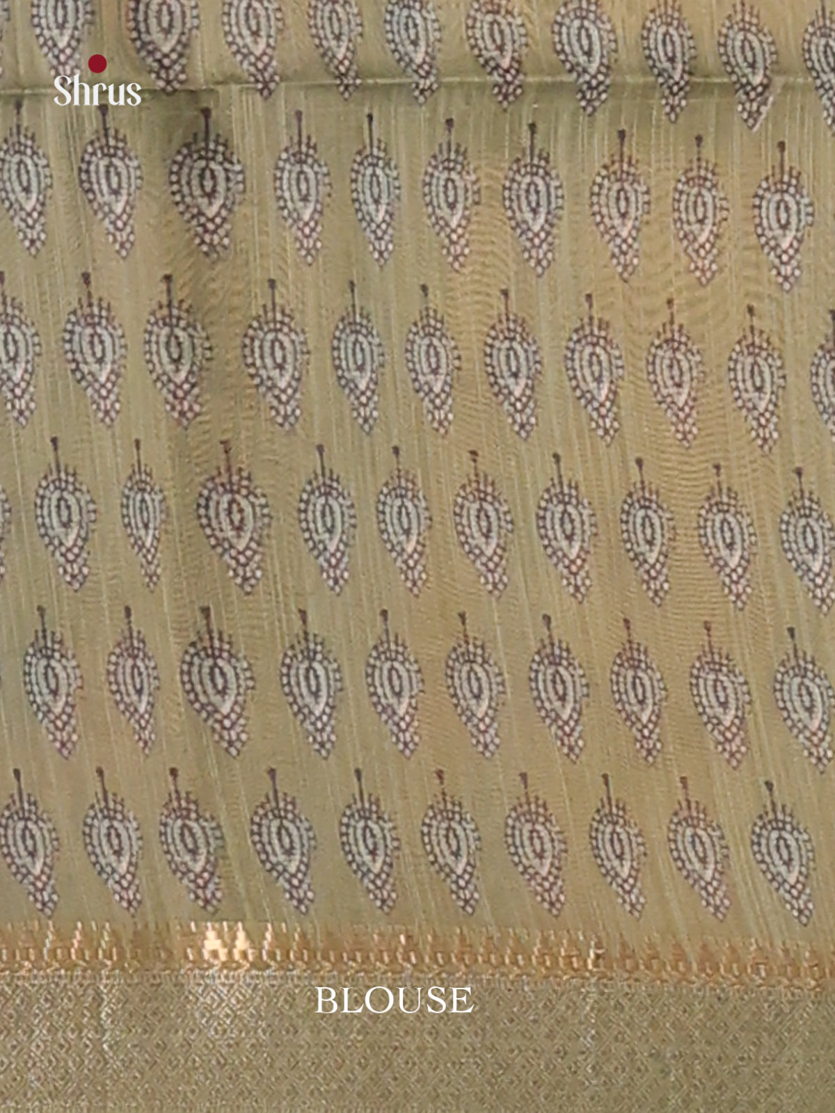 Pastel Green- Champa semitussar Saree - Shop on Shrus.com