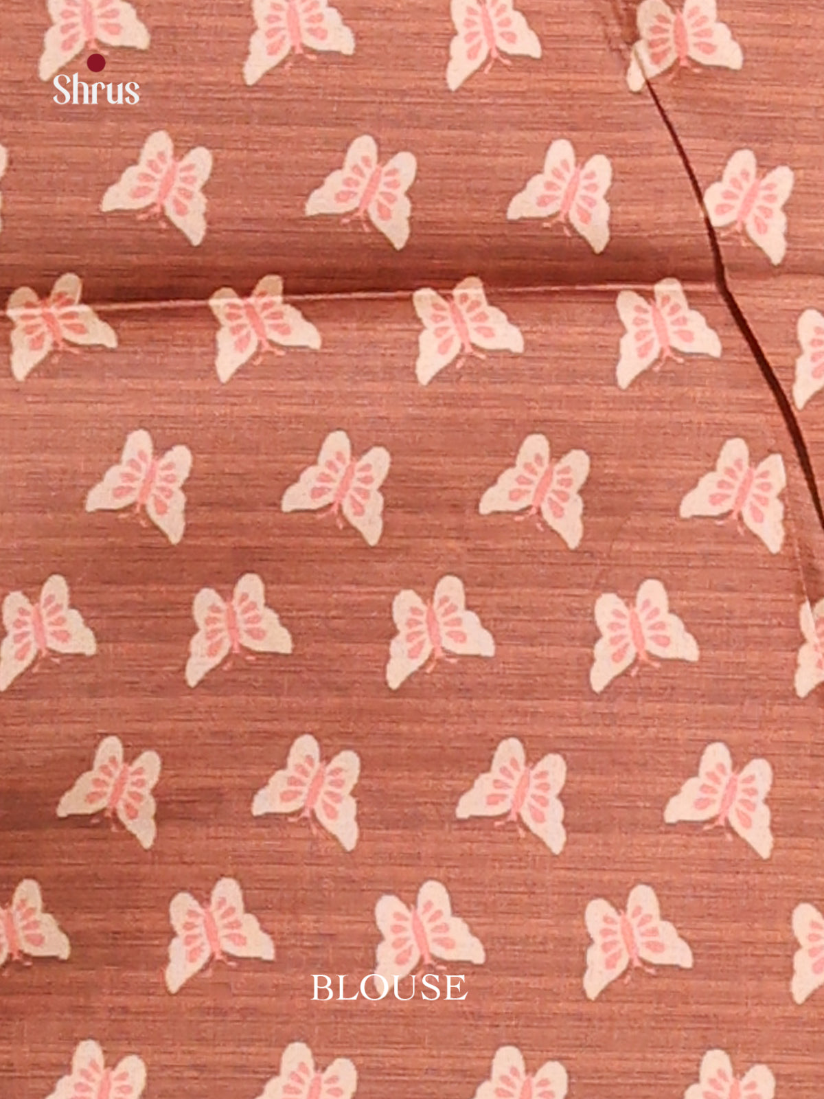 Brown - Champa semitussar Saree - Shop on Shrus.com