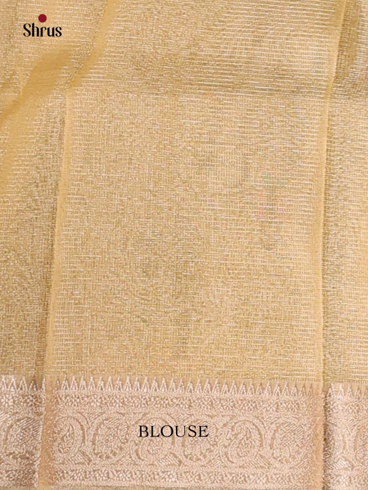 Cream - Semi Tissue Saree - Shop on Shrus.com