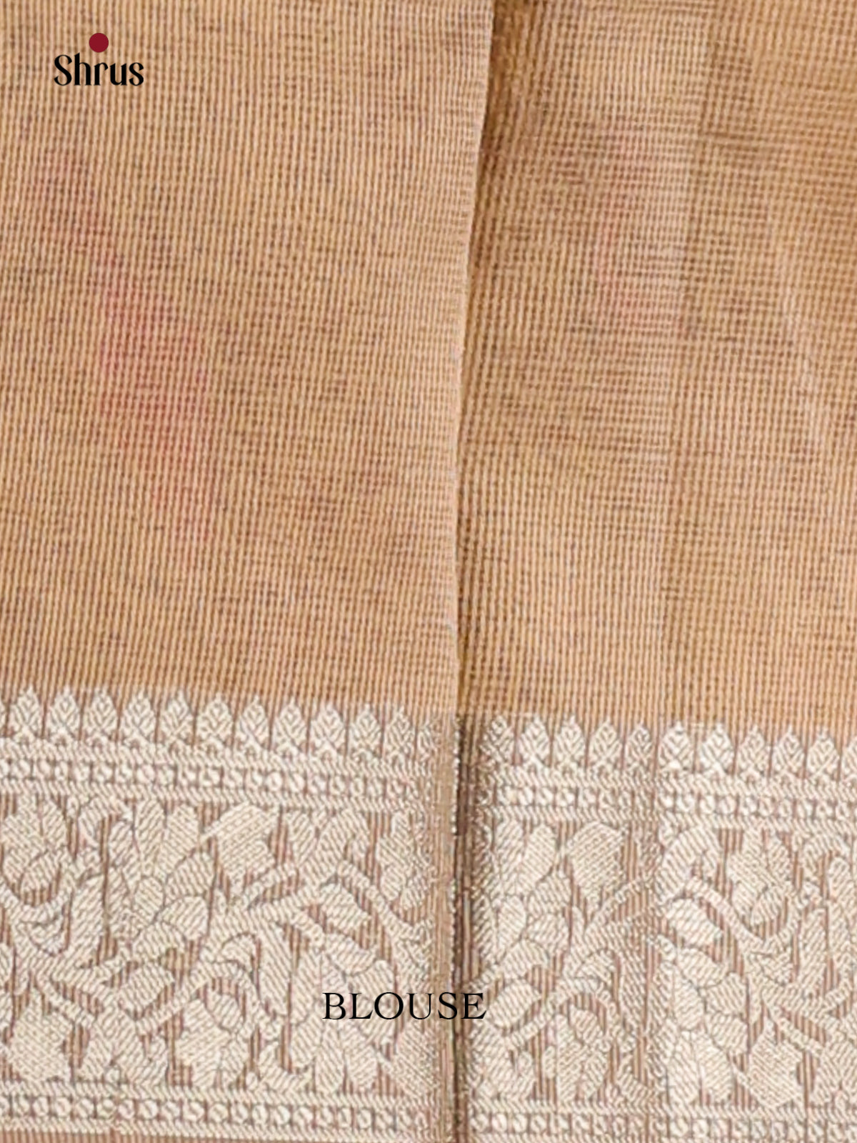 Cream - Semi Tissue Saree - Shop on Shrus.com
