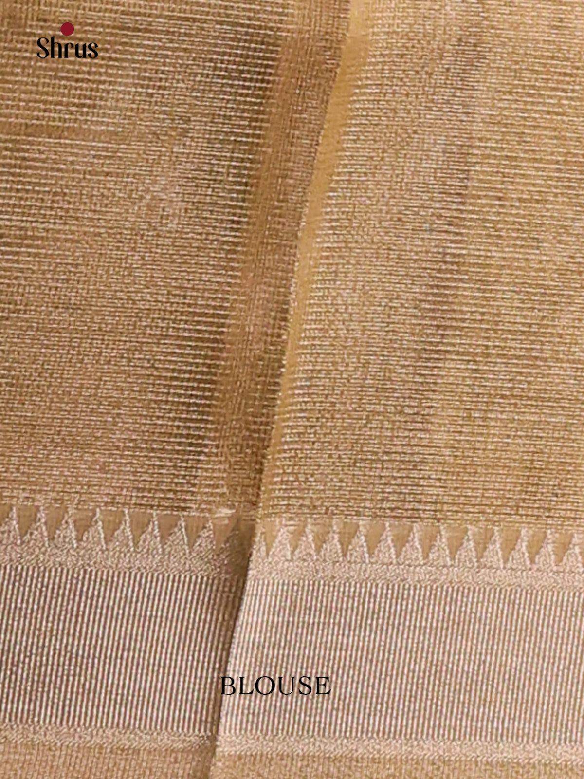 Cream - Semi Tissue Saree - Shop on Shrus.com