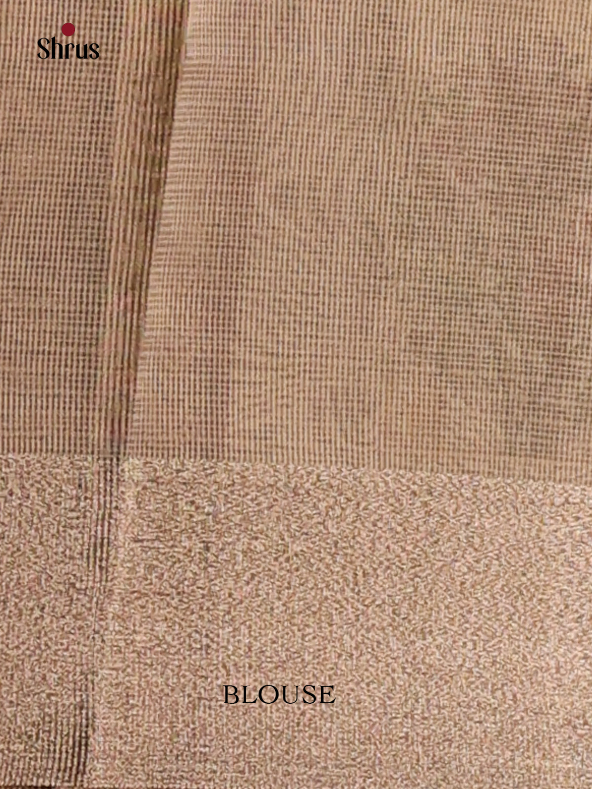 Cream - Semi Tissue Saree - Shop on Shrus.com
