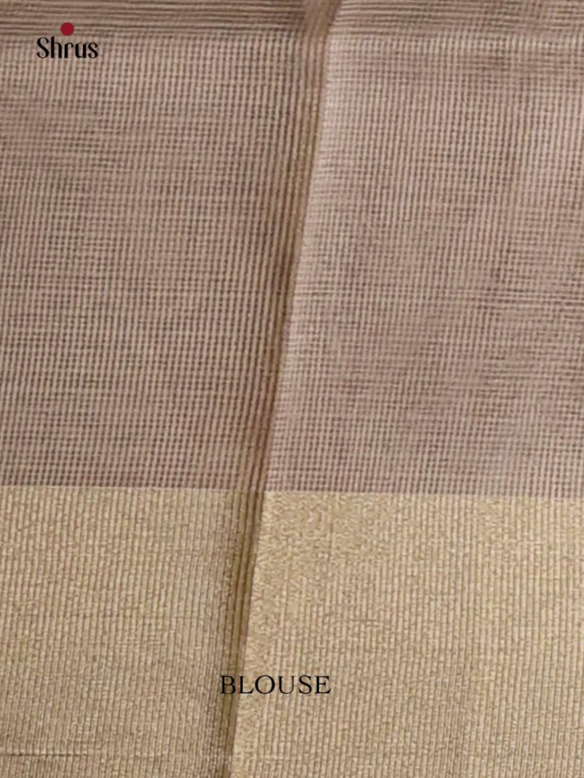 Cream with Grey - Semi Tissue Saree - Shop on Shrus.com