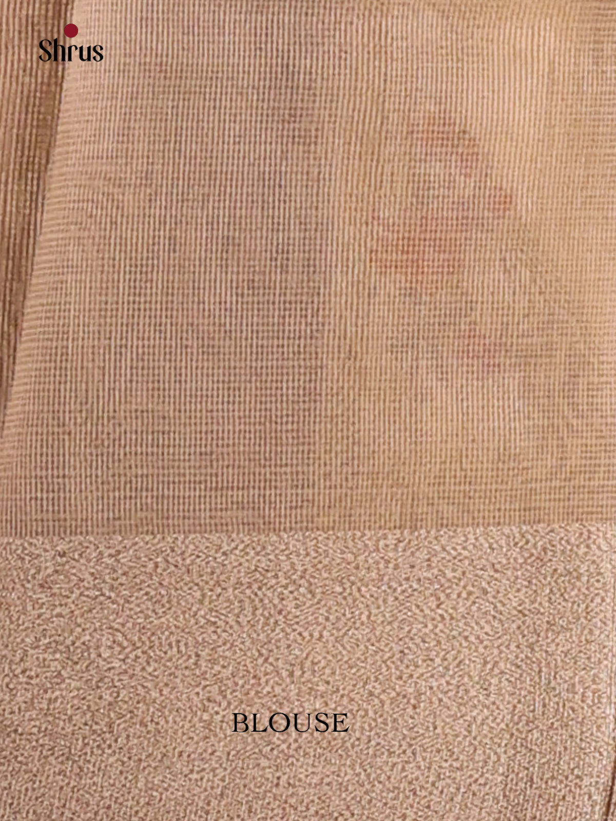 Cream - Semi Tissue Saree - Shop on Shrus.com