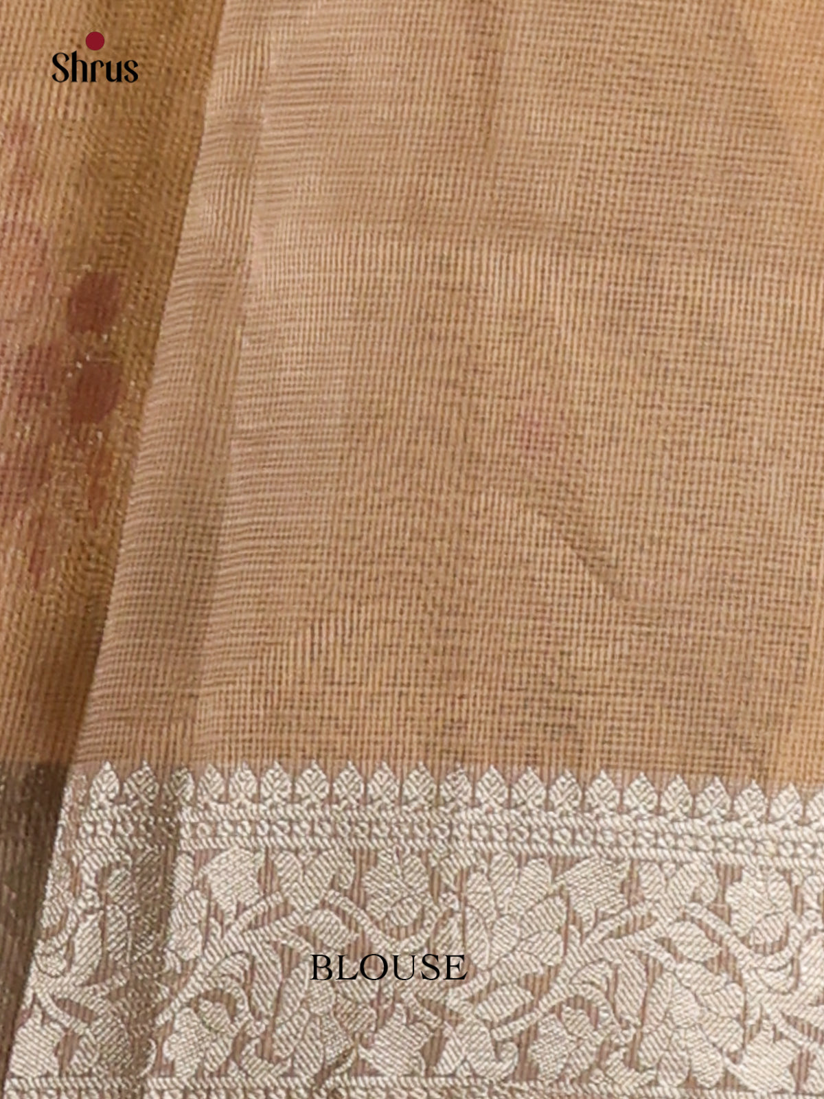 Beige - Semi Tissue Saree - Shop on Shrus.com