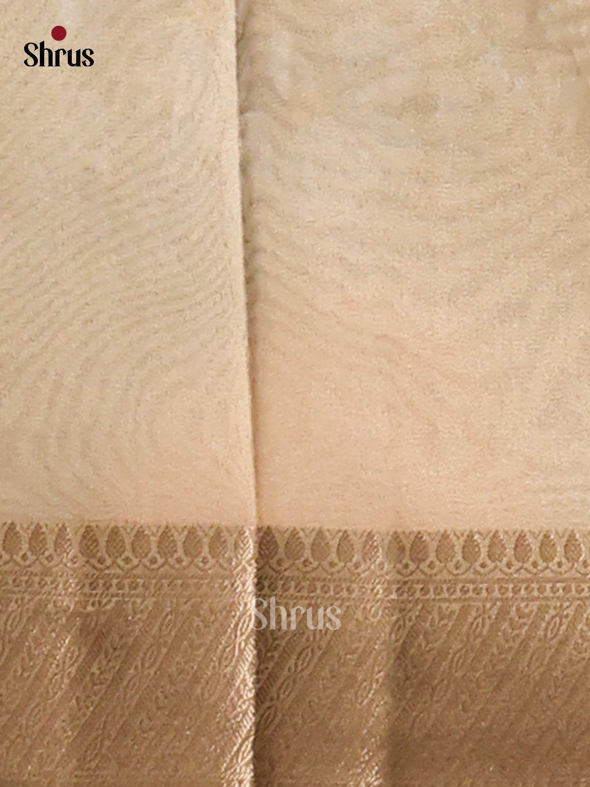 Grey - Semi Tissue saree - Shop on Shrus.com