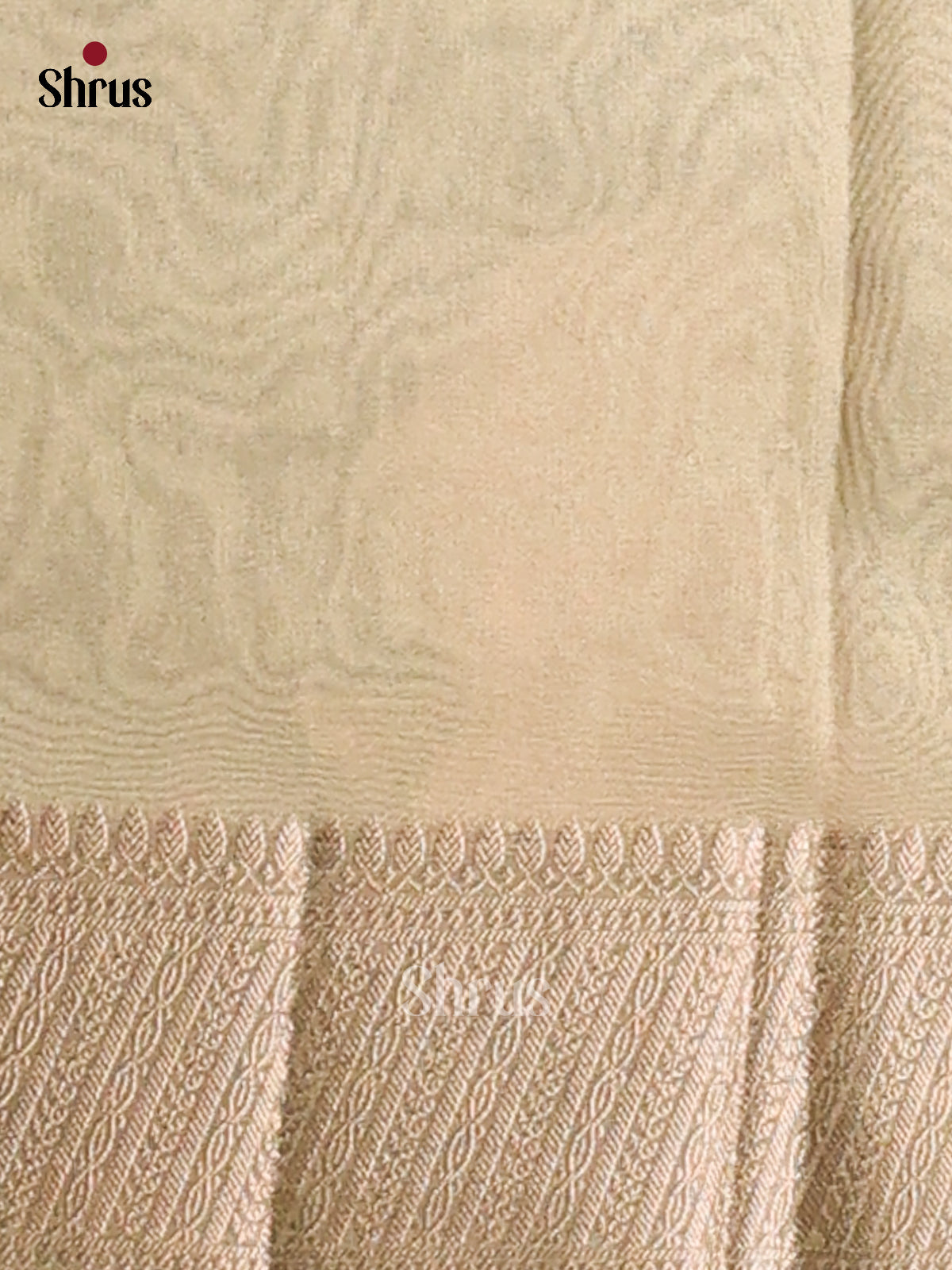Mint Green - Semi Tissue saree - Shop on Shrus.com
