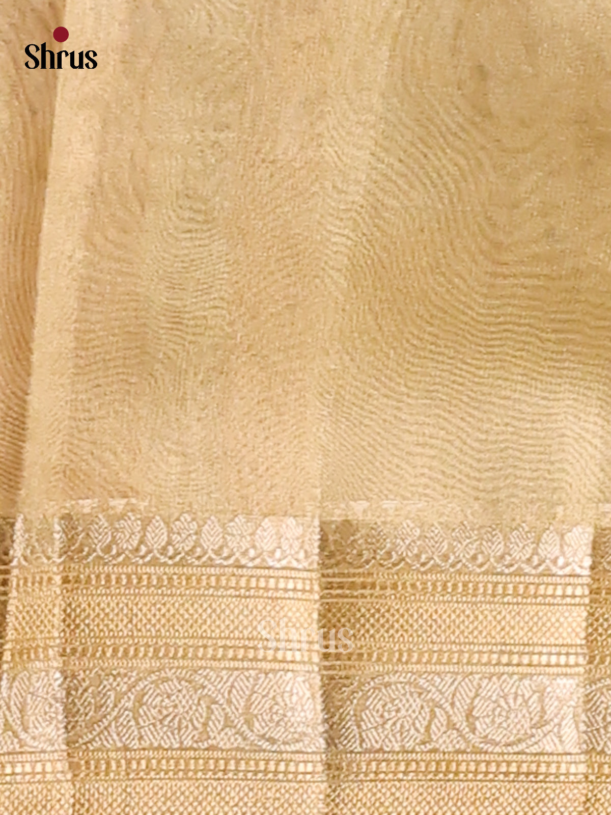 Mint Green - Semi Tissue saree - Shop on Shrus.com