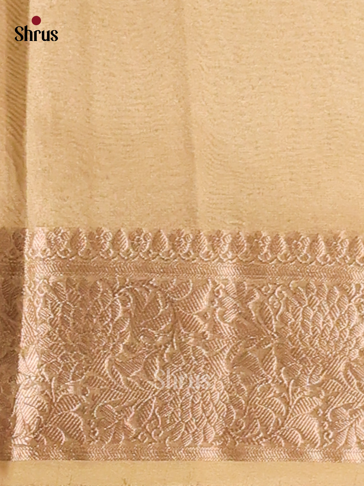 Mint Green - Semi Tissue saree - Shop on Shrus.com