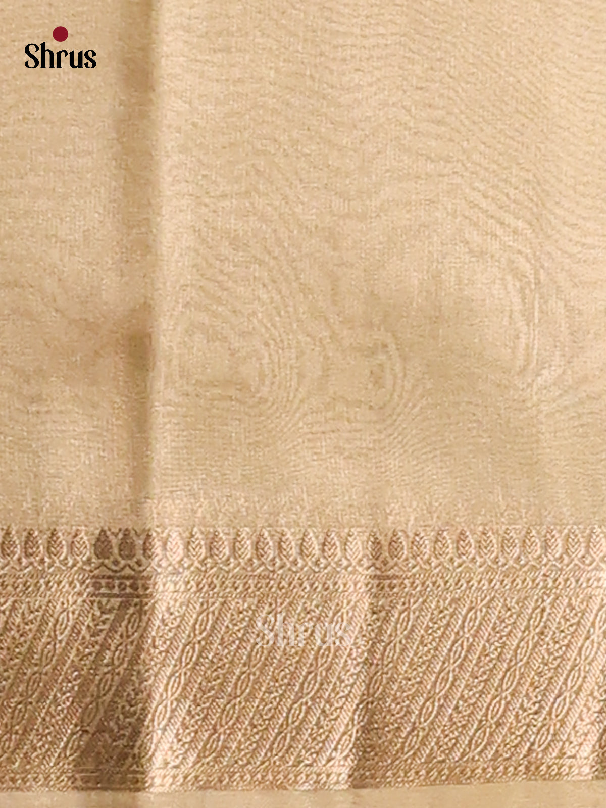 Mint Green- Semi Tissue saree - Shop on Shrus.com