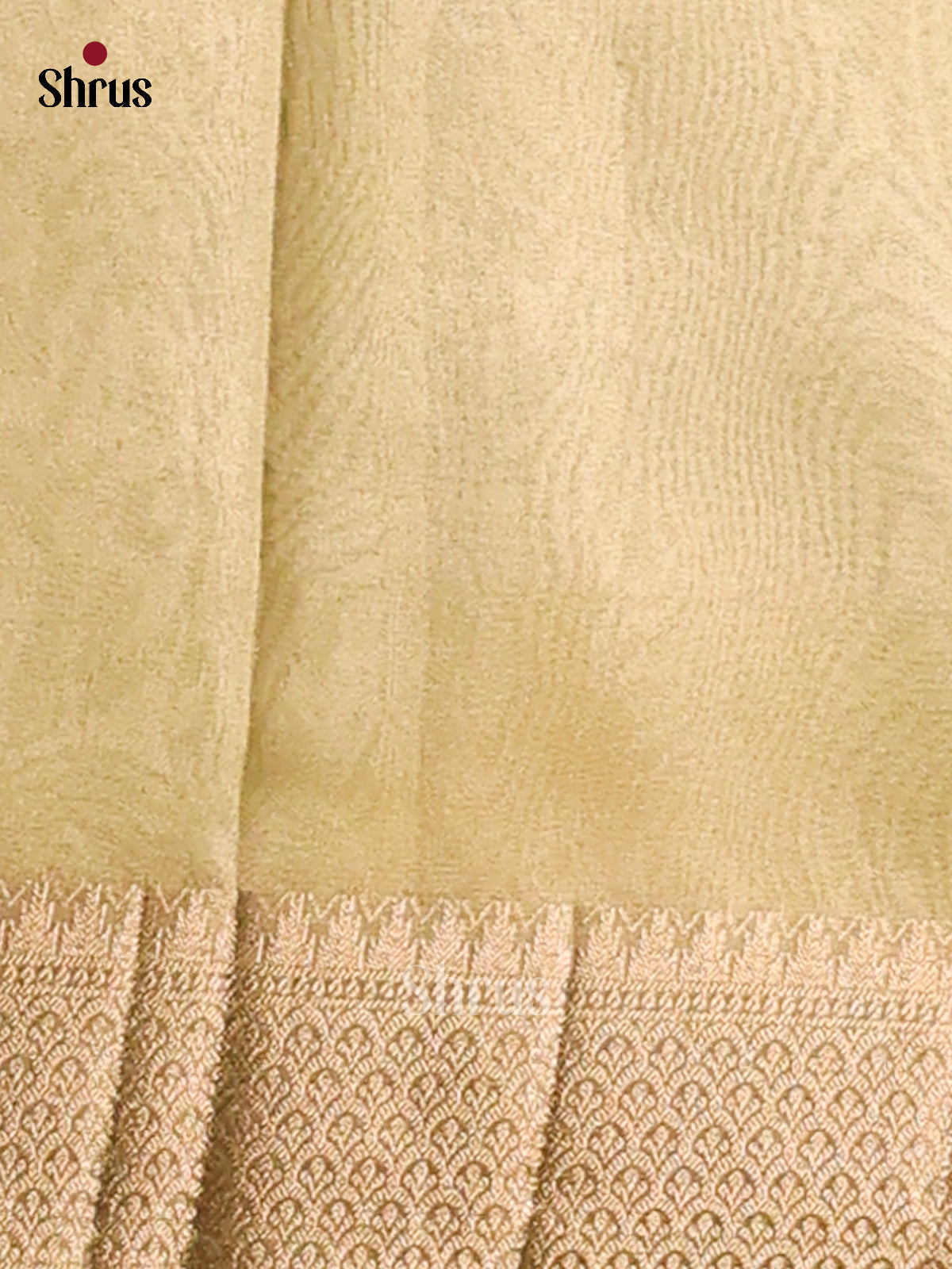 Mint Green - Semi Tissue saree - Shop on Shrus.com