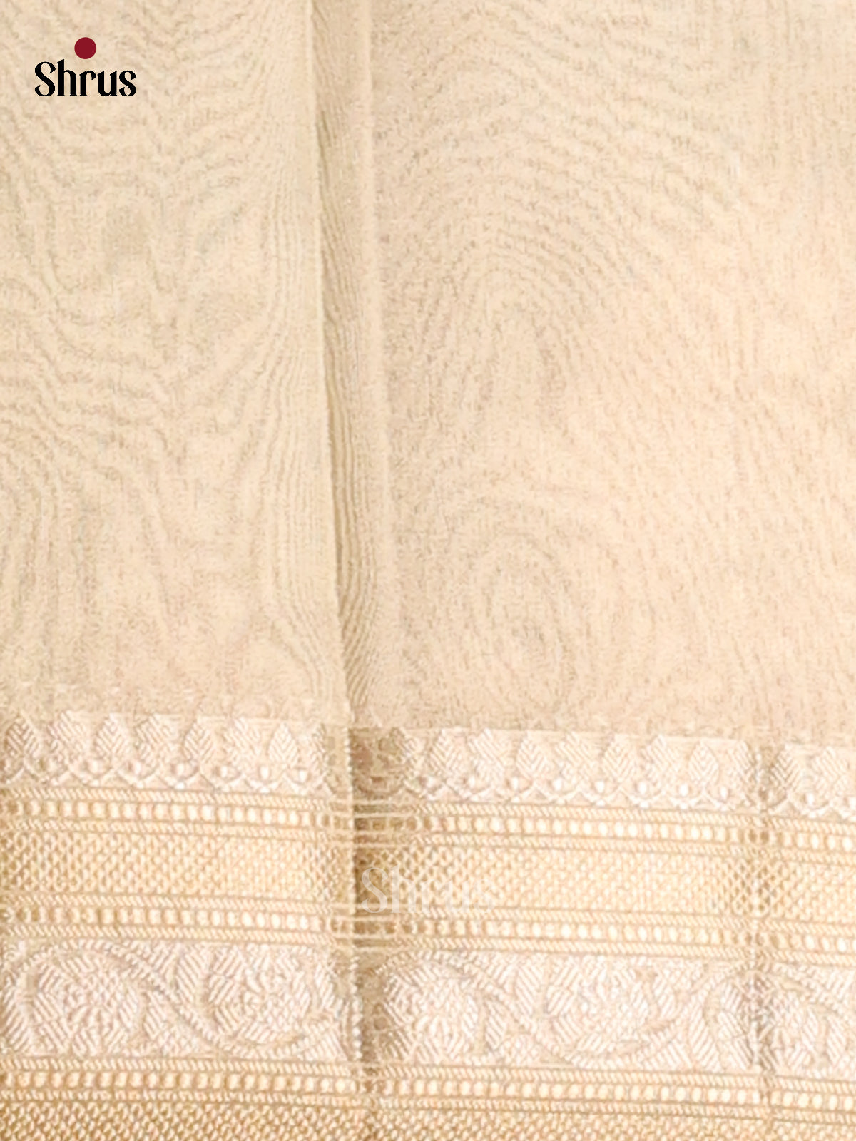 Mild Green - Semi Tissue saree - Shop on Shrus.com