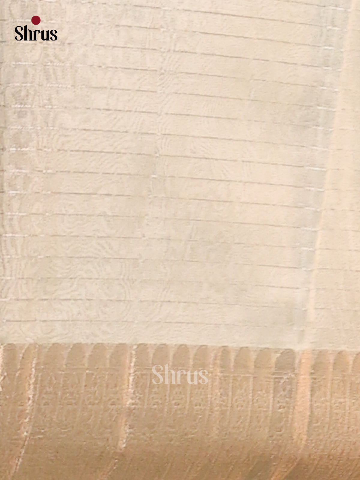Mint Green - Semi Tissue saree - Shop on Shrus.com