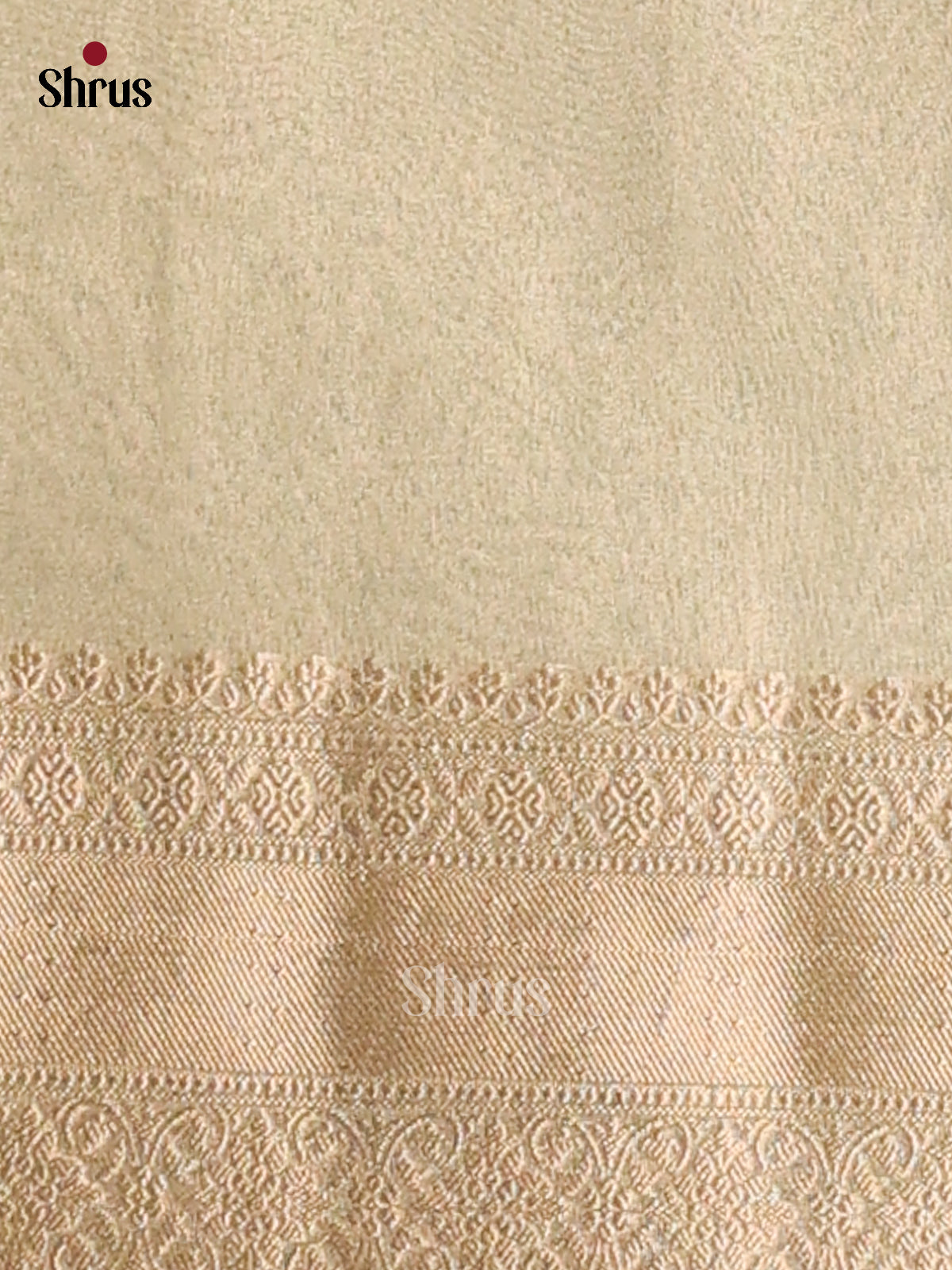 Lite Green- Semi Tissue saree - Shop on Shrus.com