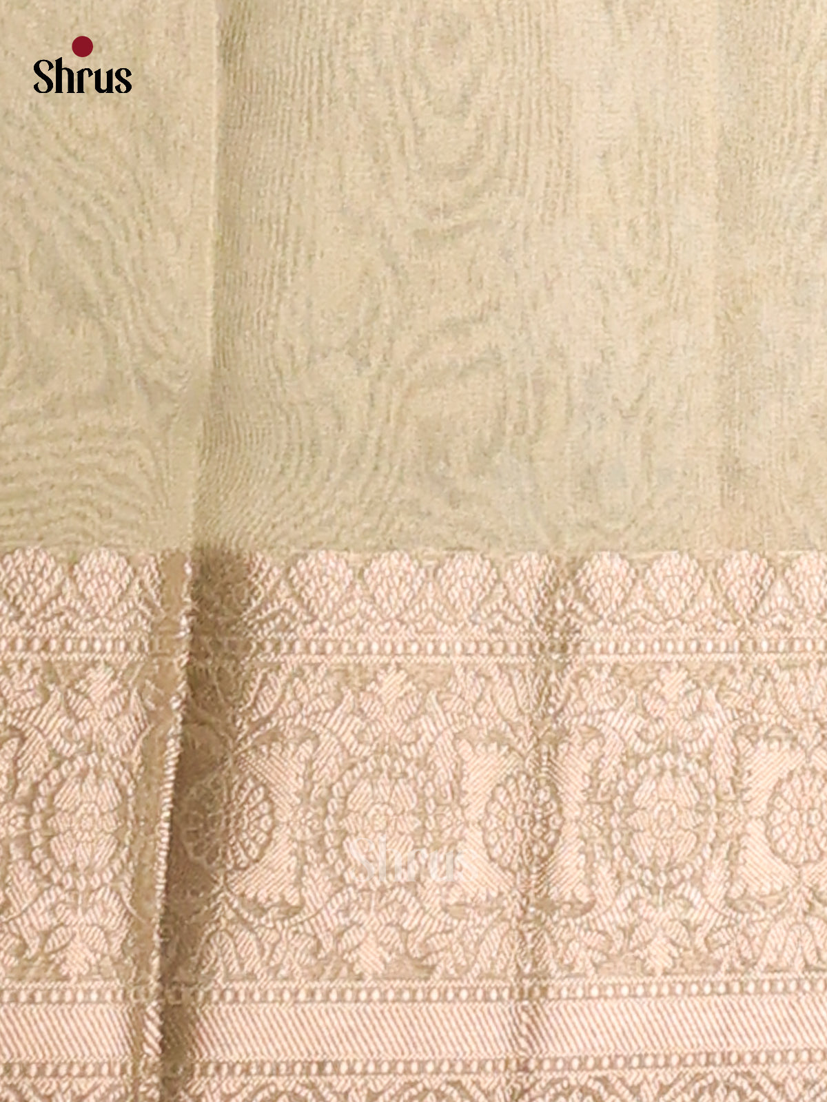 Lite Green- Semi Tissue saree - Shop on Shrus.com