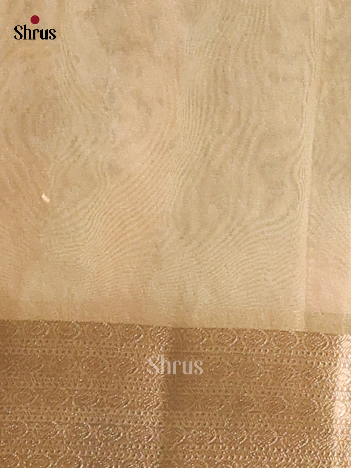 Mint Green- Semi Tissue saree - Shop on Shrus.com