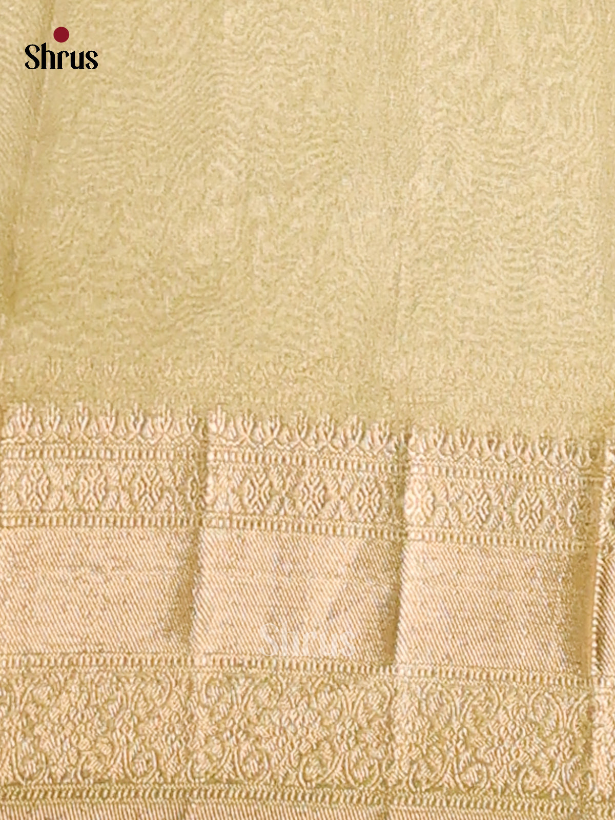 Lite Green - Semi Tissue saree - Shop on Shrus.com